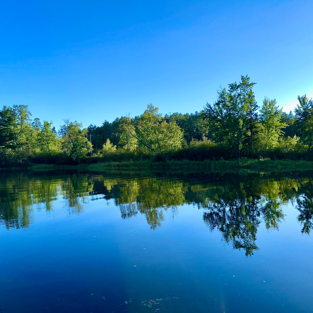 A serene view of a calm lake reflecting lush green trees and a clear blue sky.