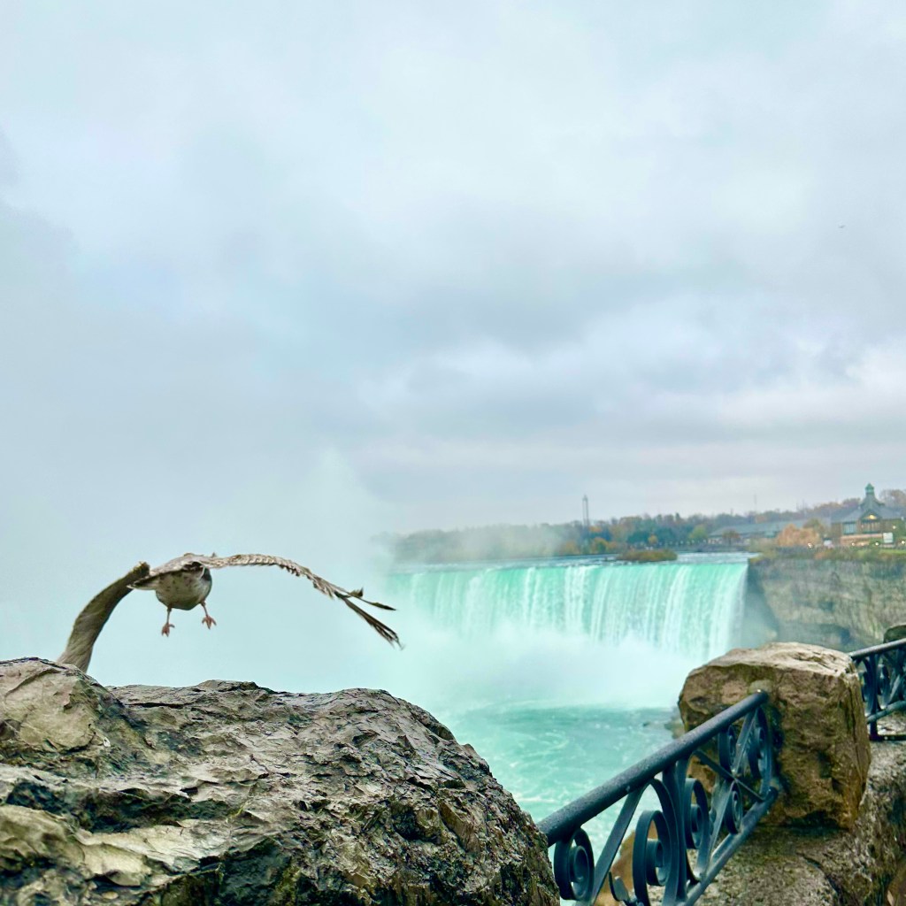 A bird in flight over the edge of Niagara Falls, with cascading water and mist in the background.