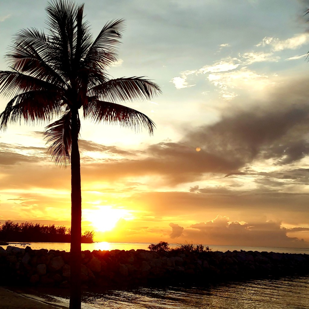 A silhouette of a palm tree against a vibrant sunset with shades of orange and yellow, reflecting over calm water.