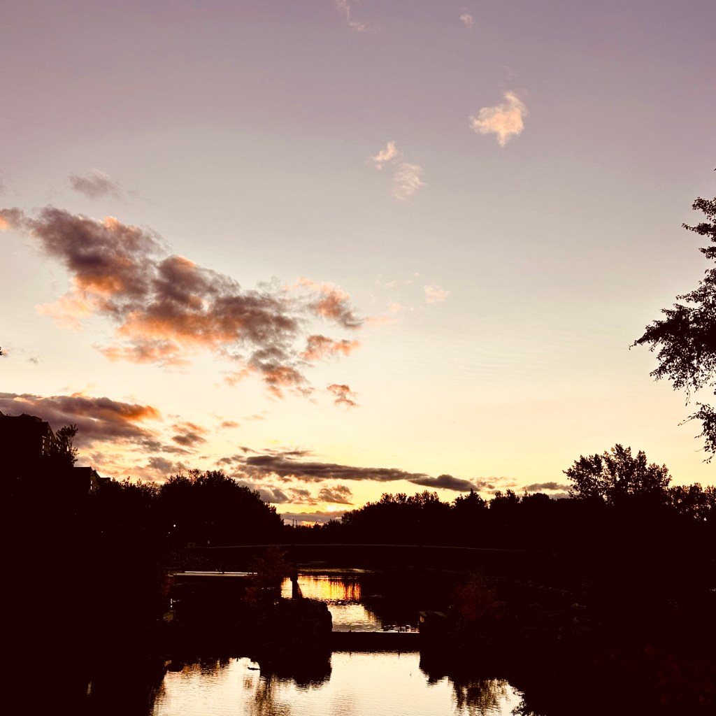 A scenic sunset view over a calm water, with silhouetted trees and clouds reflecting in the water.